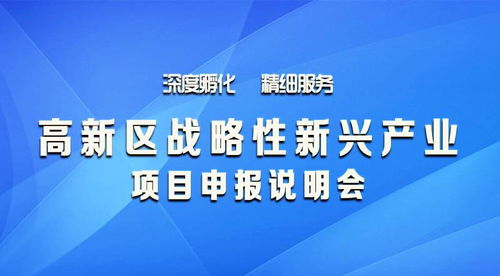 高新區戰略性新興產業項目申報會開幕，企業項目孵化迎來新機遇